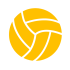 volley